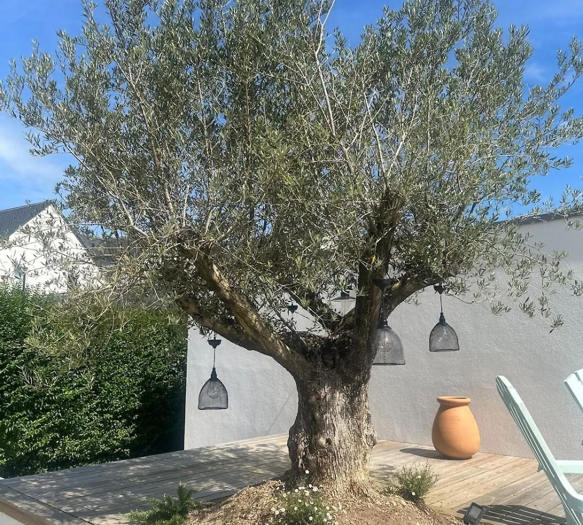 Villa Le 25 - Piscine Et Sauna Au Bourg De Carantec